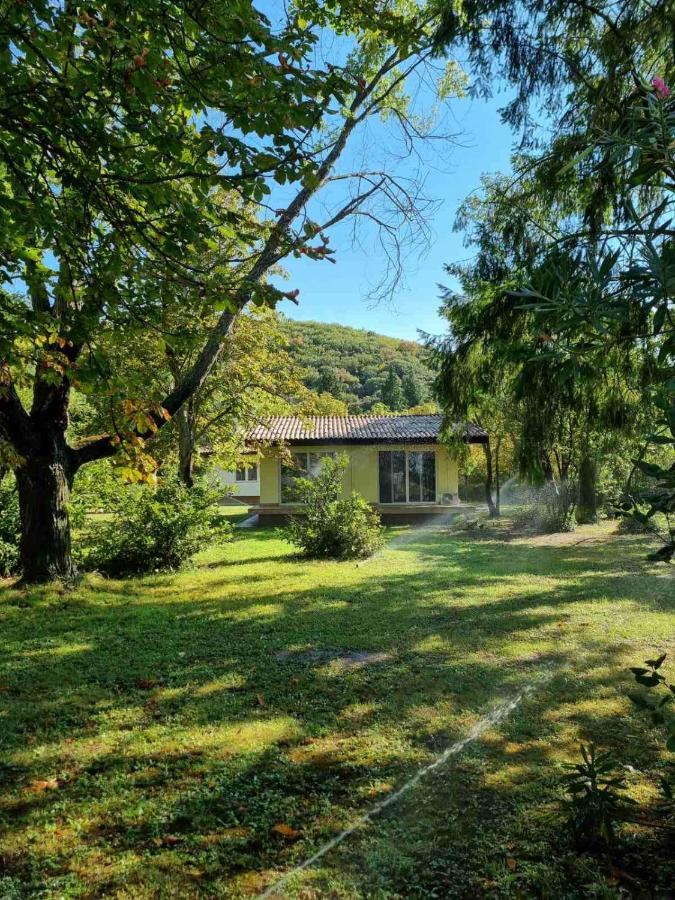Fuk-Tak'S Bungalow Dojran ภายนอก รูปภาพ