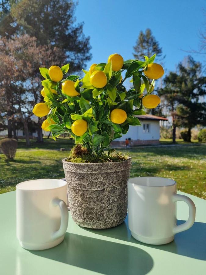 Fuk-Tak'S Bungalow Dojran ภายนอก รูปภาพ